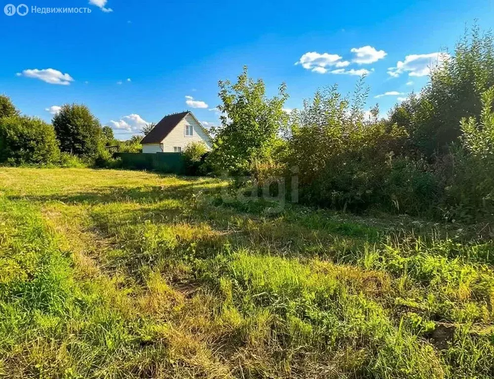 Участок в Московская область, Раменский муниципальный округ, село ... - Фото 2