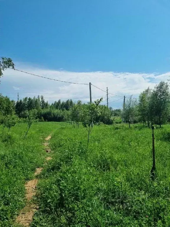 Участок в Татарстан, Казань ул. Тирякле (7.2 сот.) - Фото 0