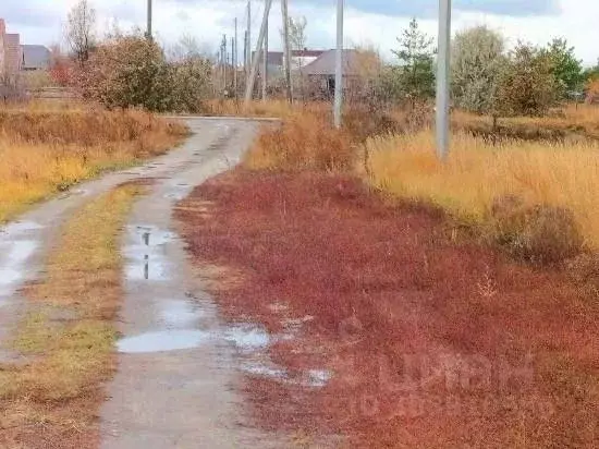 Участок в Самарская область, Ставропольский район, с. Ягодное ... - Фото 1