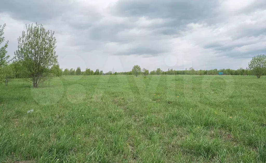 Участок 7,2 сот. (СНТ, ДНП) - Фото 0