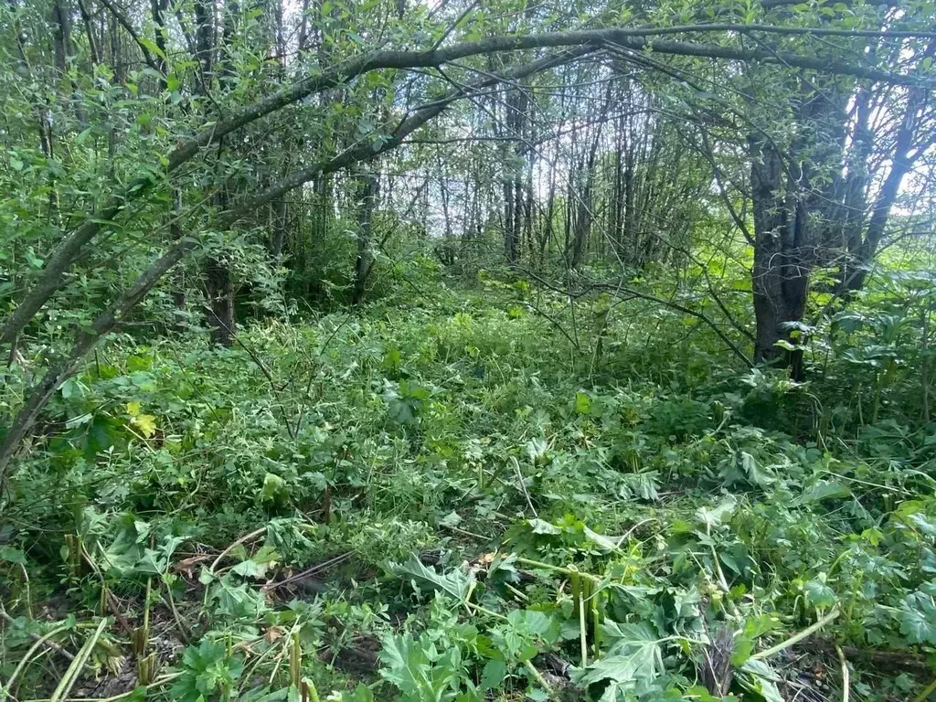 Участок в Московская область, Истра муниципальный округ, д. Деньково  ... - Фото 2