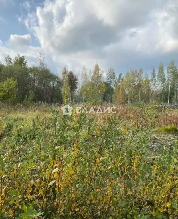 Участок в Ленинградская область, Тосненский район, Ульяновское ... - Фото 2