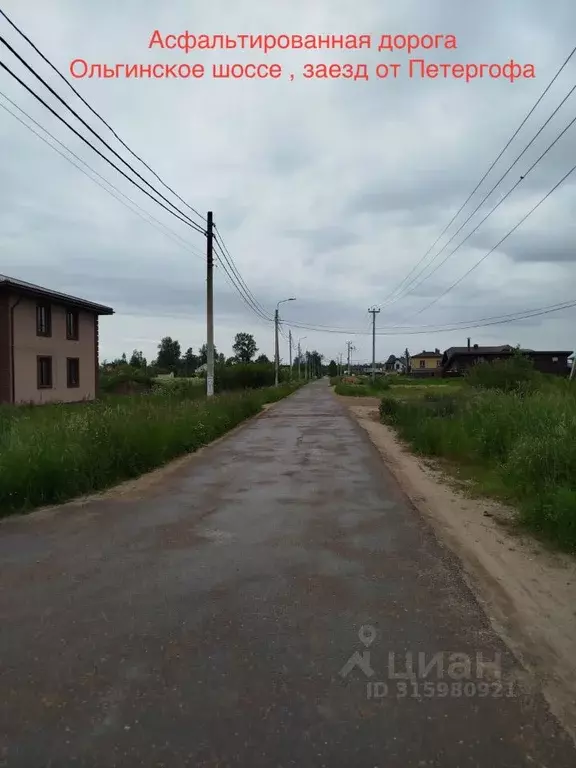 Участок в Санкт-Петербург, Санкт-Петербург, Петергоф ш. Ольгинское ... - Фото 0