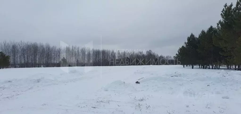 Участок в Тюменская область, Нижнетавдинский район, д. Московка, Чехов ... - Фото 1