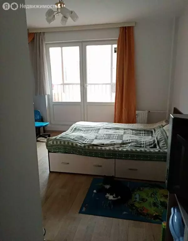 Квартира-студия: Мурино, Екатерининская улица, 3/4 (20.9 м) - Фото 2