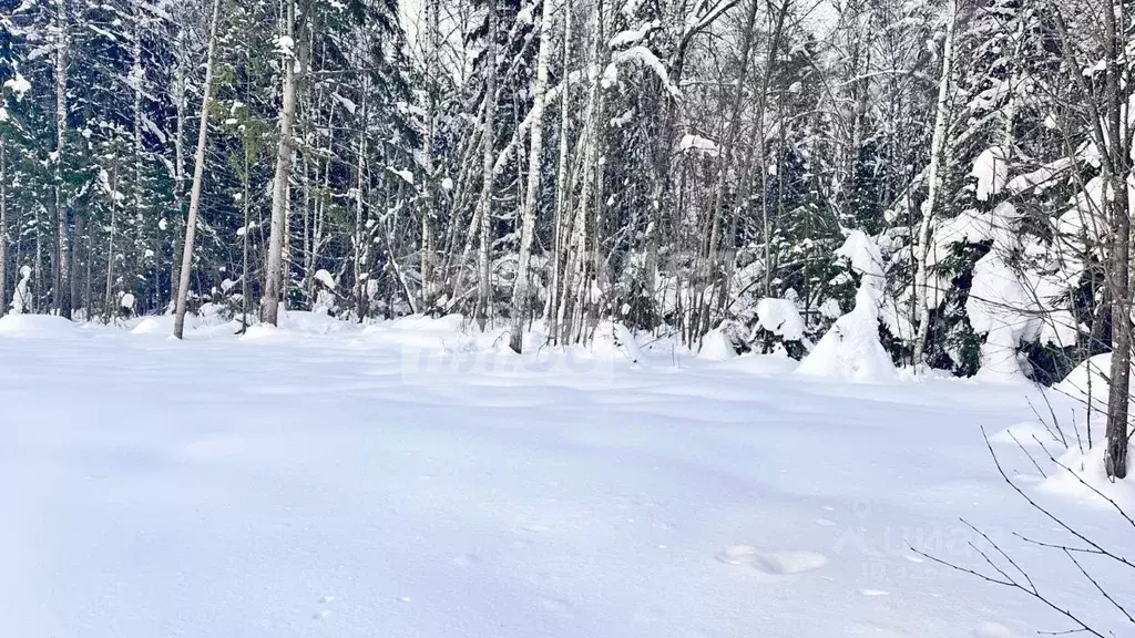Участок в Московская область, Истра муниципальный округ, д. Сысоево  ... - Фото 2