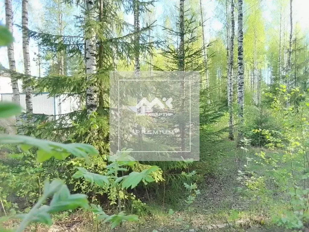 Участок в Ленинградская область, Всеволожск Новая ул., 37А (6.3 сот.) - Фото 1