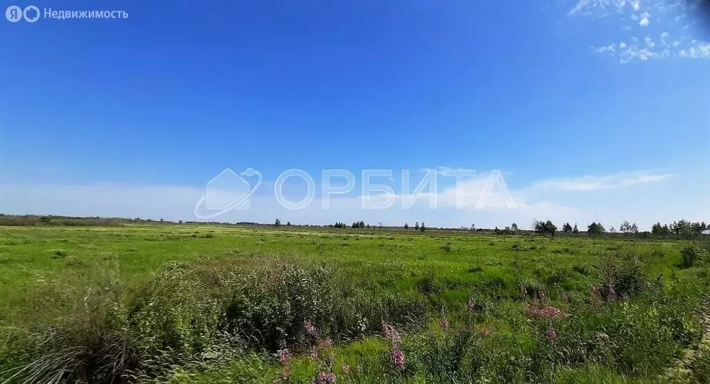 Участок в Тюменский район, село Борки (55.17 м) - Фото 1