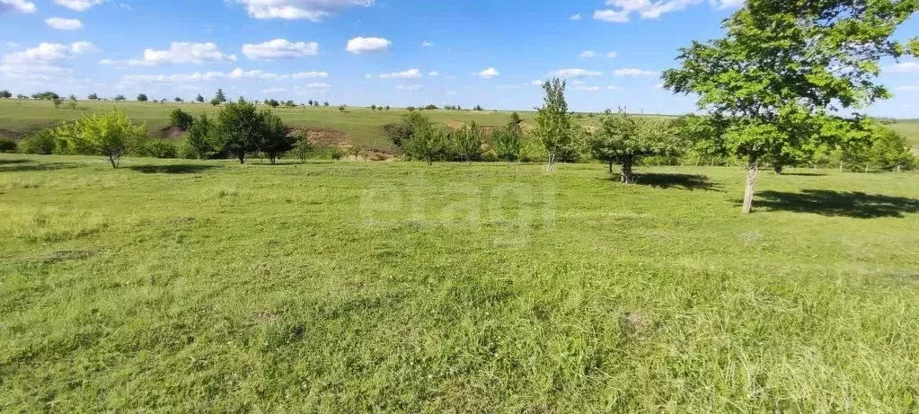 Участок в Воронежская область, Рамонский район, с. Русская Гвоздевка  ... - Фото 1