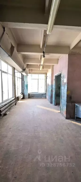 Помещение свободного назначения в Санкт-Петербург Грузинская ул., 5В ... - Фото 2