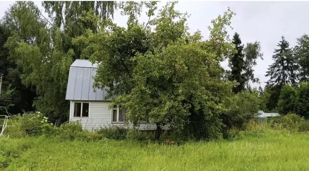 Участок в Московская область, Мытищи городской округ, пос. Борец  ... - Фото 2