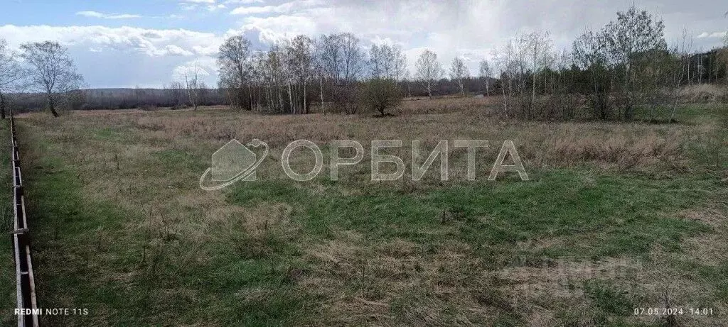 Участок в Тюменская область, Тюменский район Салаирский тракт, 9-й км ... - Фото 1