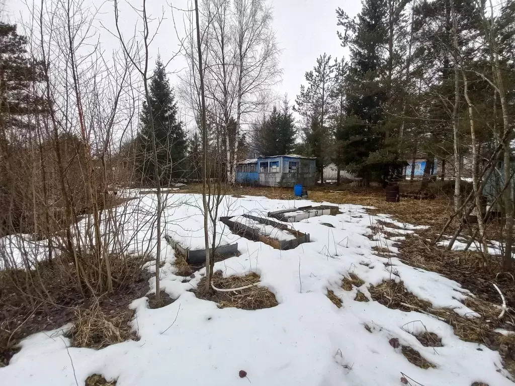 Участок в Ленинградская область, Выборгский район, Рощинское городское ... - Фото 0
