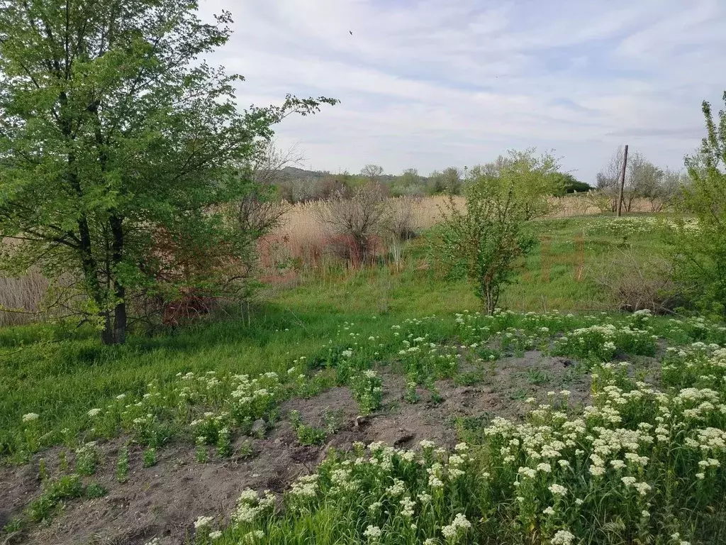 Участок в Ростовская область, Октябрьский район, Красюковское с/пос, ... - Фото 1
