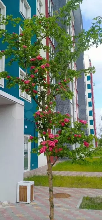1-к. квартира, 35,6 м, 3/9 эт. - Фото 0