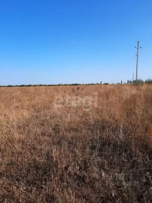 Участок в Саратовская область, Энгельсский район, Красноярское ... - Фото 1