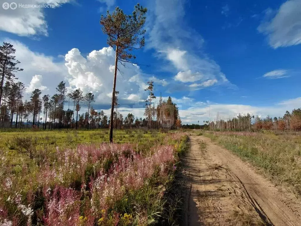 Участок в Читинский район, СТ № 50 Строитель (20.82 м) - Фото 0