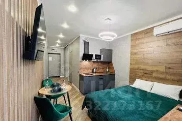 1-к кв. Ростовская область, Ростов-на-Дону ул. Нансена, 103/1/4 (24.0 ... - Фото 1