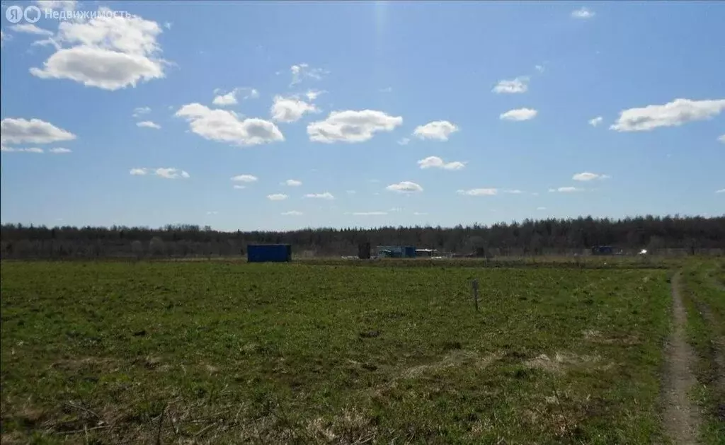 Участок в Лопухинское сельское поселение, ДНП Воронино, 110 (8 м) - Фото 2