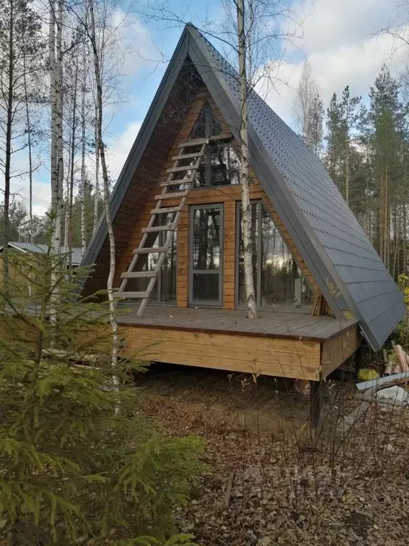 Дом в Ленинградская область, Всеволожское городское поселение, СОСН ... - Фото 0