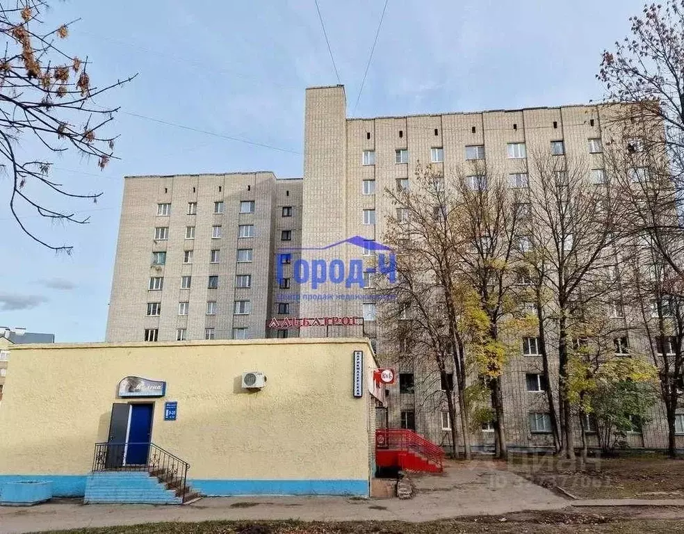 Студия Чувашия, Чебоксары ул. Тимофея Кривова, 10 (24.0 м) - Фото 1