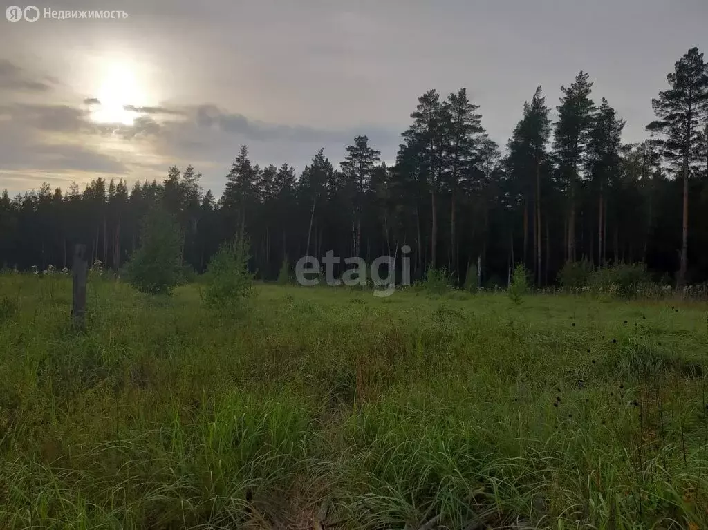 Участок в село Колташево, Солнечная улица (10 м) - Фото 0