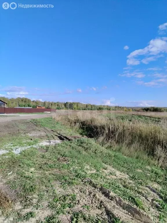 Участок в деревня Синицына, улица Победы (20 м) - Фото 2