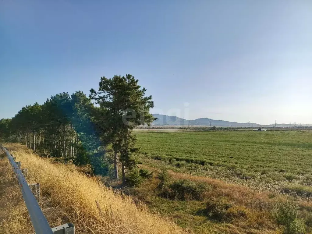 Участок в Крым, Кировский район, с. Абрикосовка ул. Восточная (253.2 ... - Фото 1