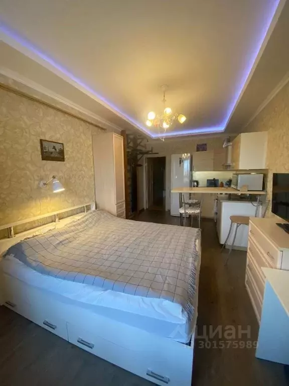 Студия Санкт-Петербург Рыбацкий просп., 18к2 (32.0 м) - Фото 1