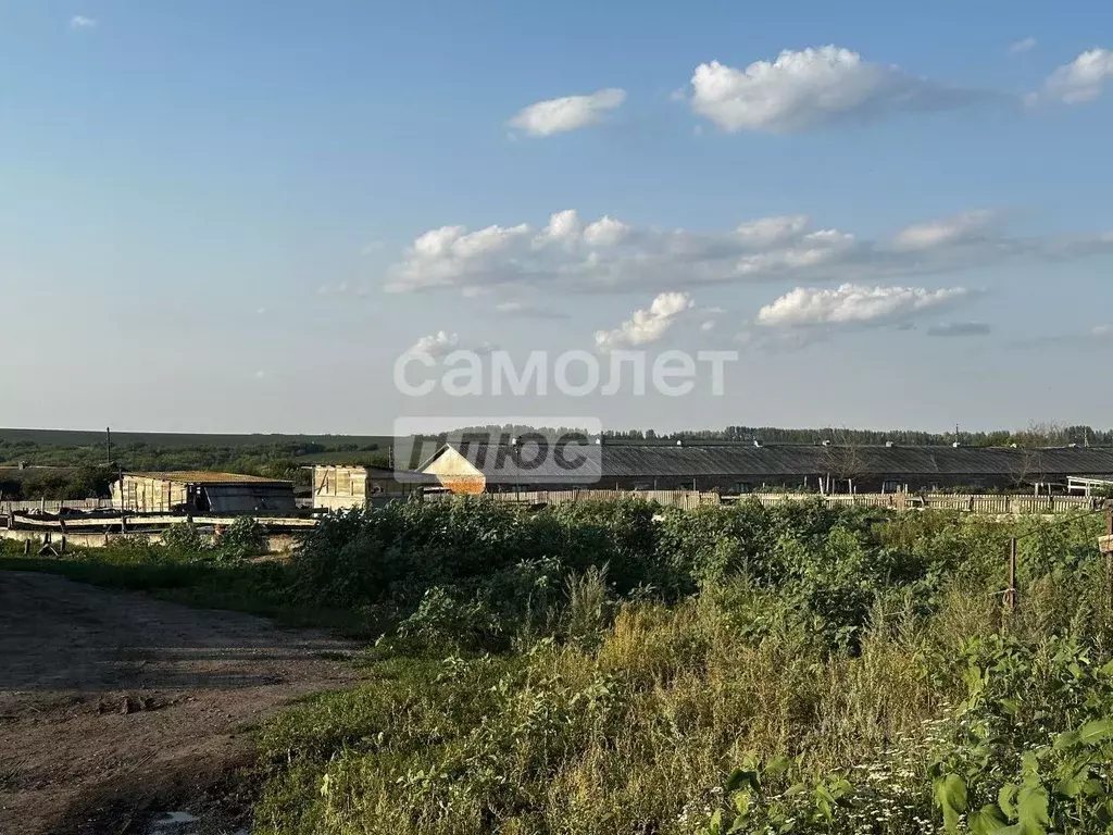 Производственное помещение в Курская область, Медвенский район, ... - Фото 2