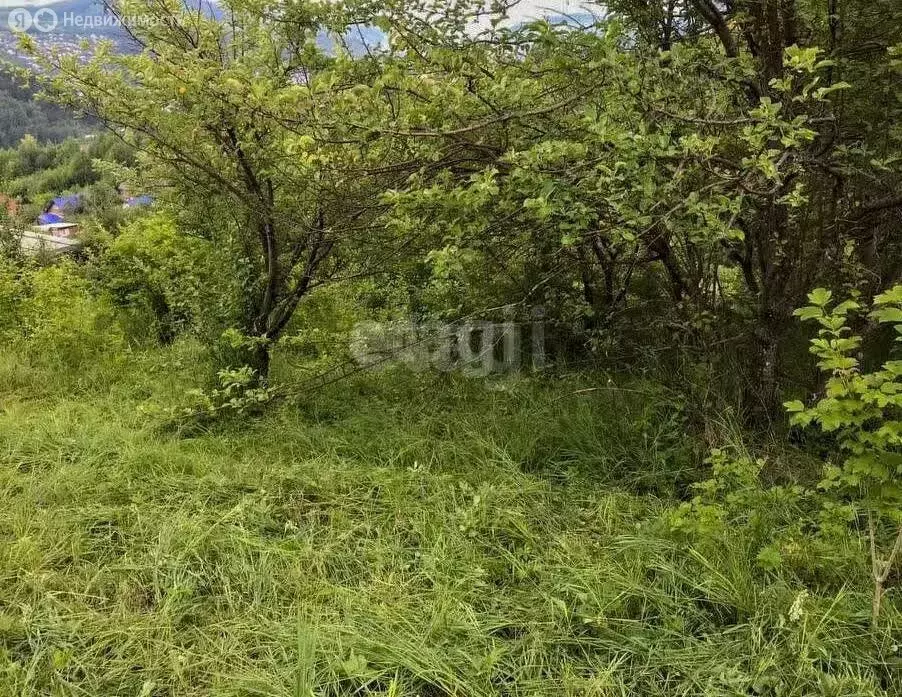 Участок в Горно-Алтайск, СНТ Вишенка (5.86 м) - Фото 0
