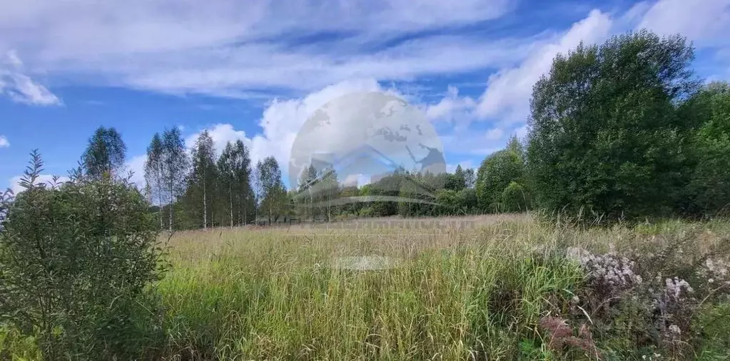 Участок в Новгородская область, Новгородский район, Савинское с/пос, ... - Фото 1