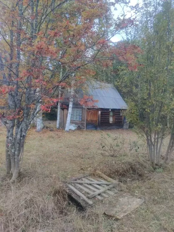 Дом в Коми, Сыктывдинский район, Выльгорт муниципальное образование, ... - Фото 1