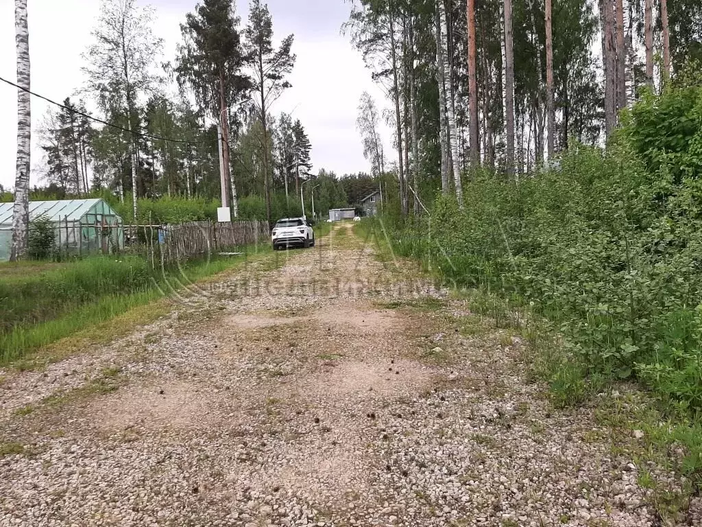 Участок в Ломоносовский район, Лебяженское городское поселение, ... - Фото 1