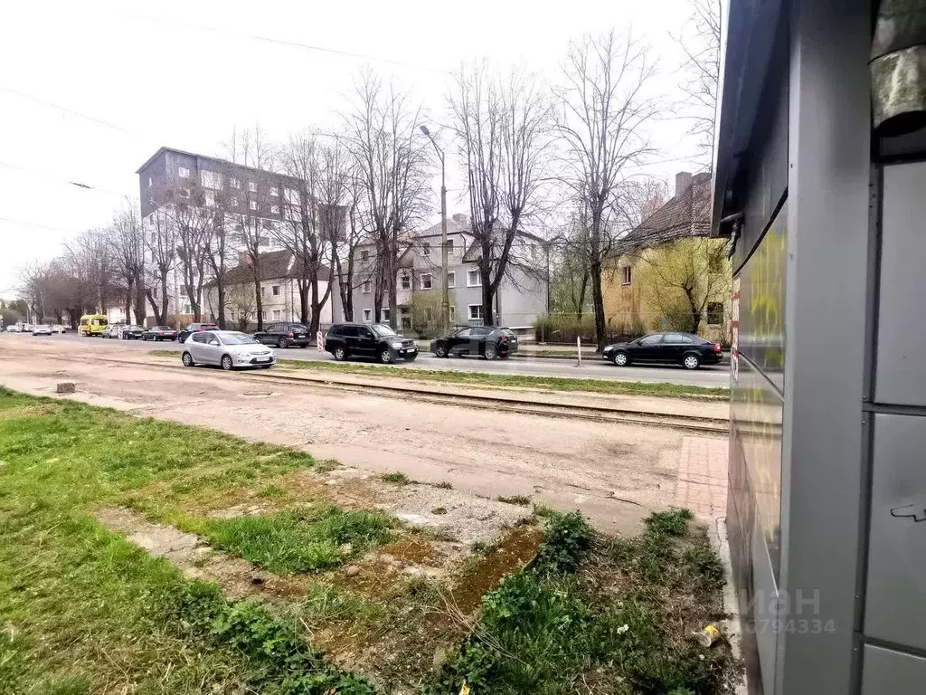 Торговая площадь в Калининградская область, Калининград просп. Победы, ... - Фото 1