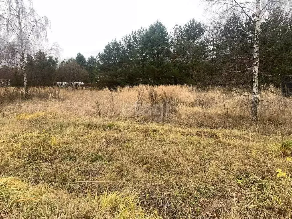 Участок в Московская область, городской округ Клин, дачный посёлок ... - Фото 1