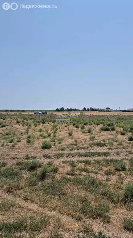 Участок в посёлок Кирпичного Завода № 1, Лесная улица, 7 (10 м) - Фото 1