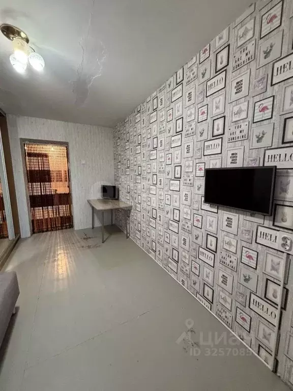 Комната Тюменская область, Тюмень Шаимский проезд, 5 (24.0 м) - Фото 1