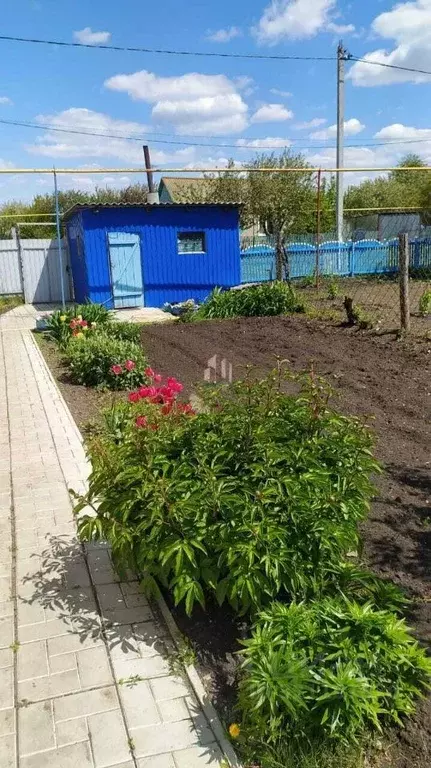 Дом в Саратовская область, Самойловский район, Хрущевское ... - Фото 1