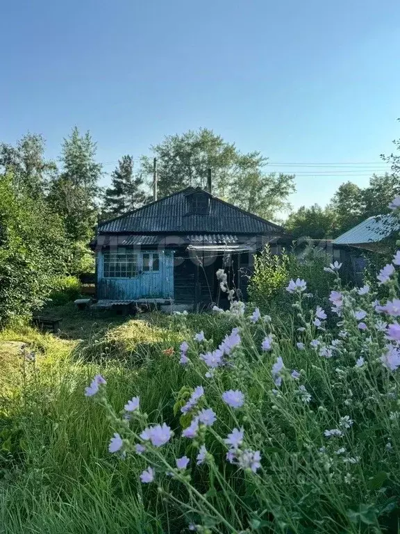 Участок в Новосибирская область, Бердск пос. Речкуновка,  (8.1 сот.) - Фото 1