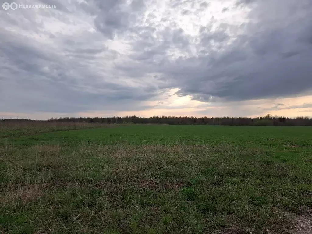Участок в село Талицы, Советская улица (21 м) - Фото 1
