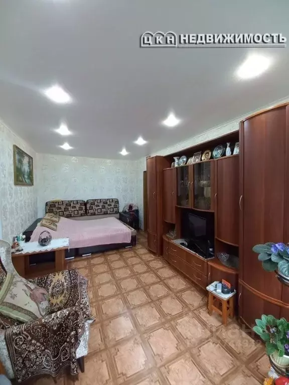 2-к кв. Оренбургская область, Оренбург Ноябрьская ул., 56 (53.0 м) - Фото 0