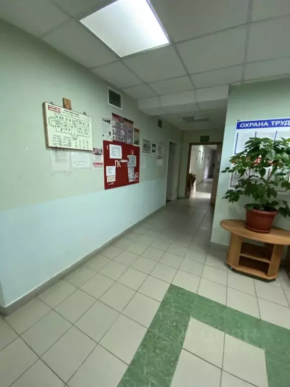 Помещение свободного назначения в Ханты-Мансийский АО, Белоярский 7-й ... - Фото 2