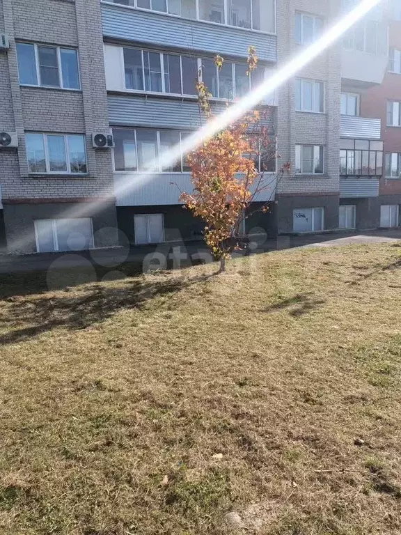 Продам помещение свободного назначения, 63.9 м - Фото 0