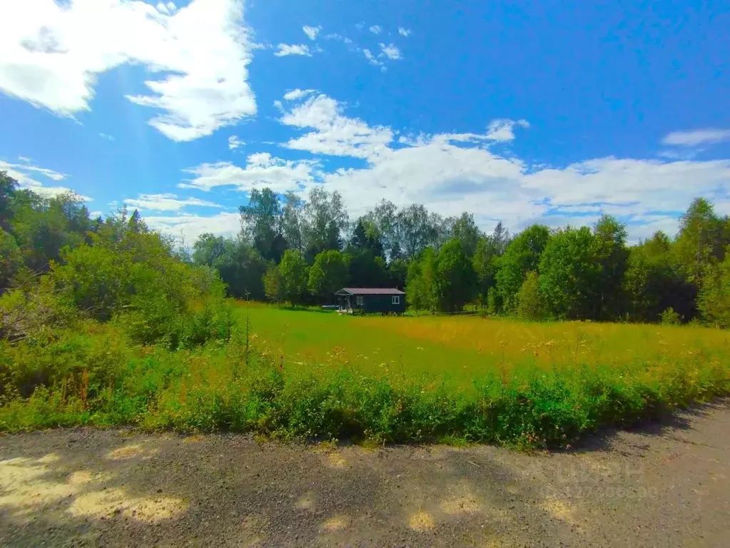 Участок в Московская область, Мытищи городской округ, д. Драчево  (8.0 ... - Фото 2