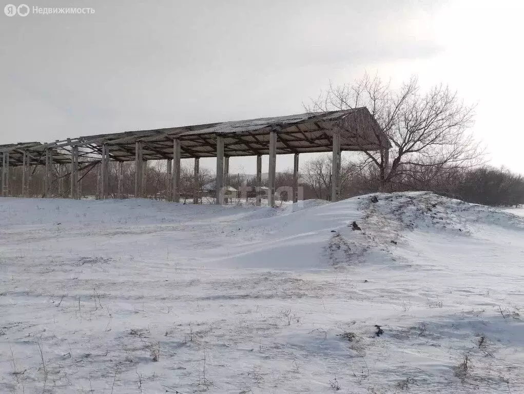 участок в краснощёковский район, маралихинский сельсовет, село . - Фото 1