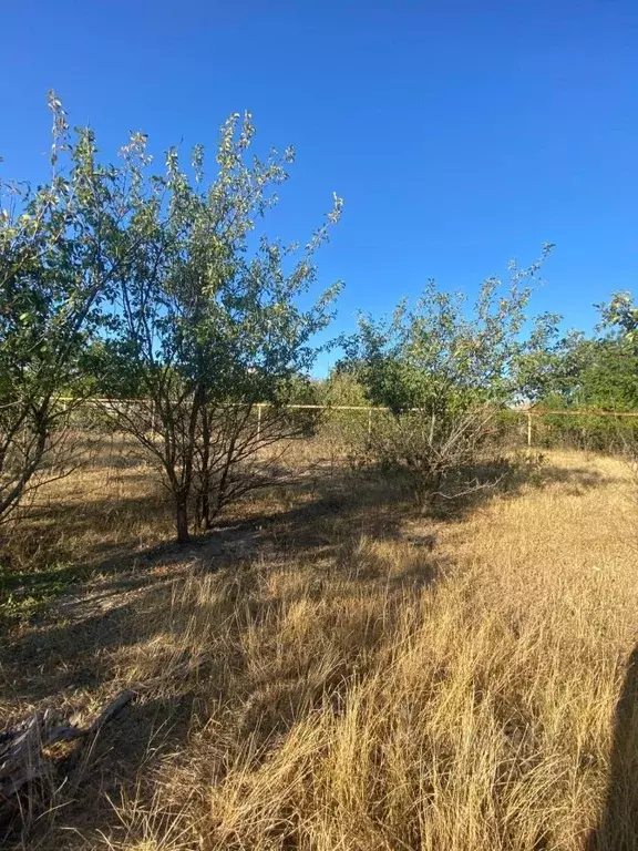 Дом в Ростовская область, Неклиновский район, с. Покровское ул. ... - Фото 1