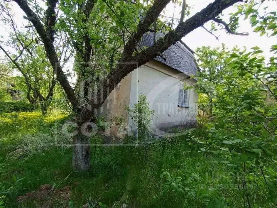Дом в Воронежская область, Воронеж Ягодка СНТ, ул. Центральная (43 м) - Фото 0