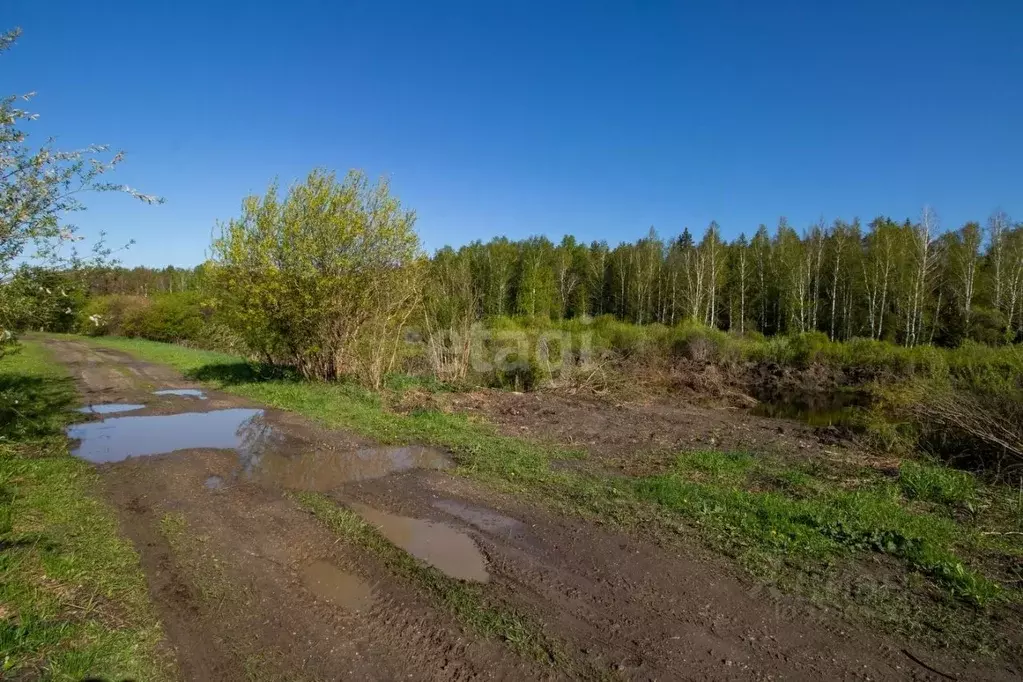 Участок в Тюменская область, Тюменский муниципальный округ, д. ... - Фото 1