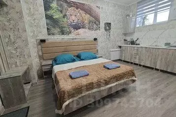 1-к кв. Ростовская область, Шахты просп. Красной Армии, 136 (25.0 м) - Фото 1